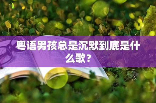 粤语男孩总是沉默到底是什么歌？