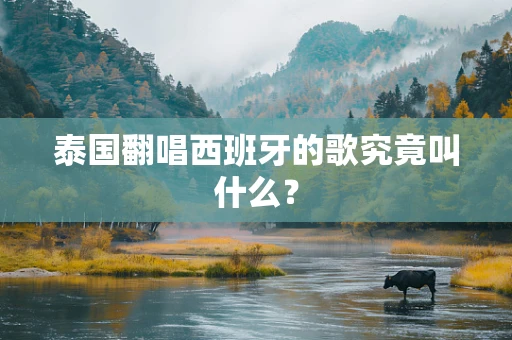 泰国翻唱西班牙的歌究竟叫什么？