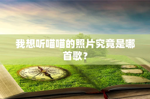 我想听喵喵的照片究竟是哪首歌？