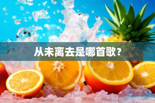 从未离去是哪首歌？