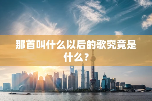 那首叫什么以后的歌究竟是什么？