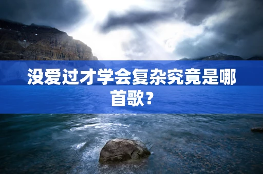 没爱过才学会复杂究竟是哪首歌？