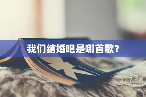 我们结婚吧是哪首歌？